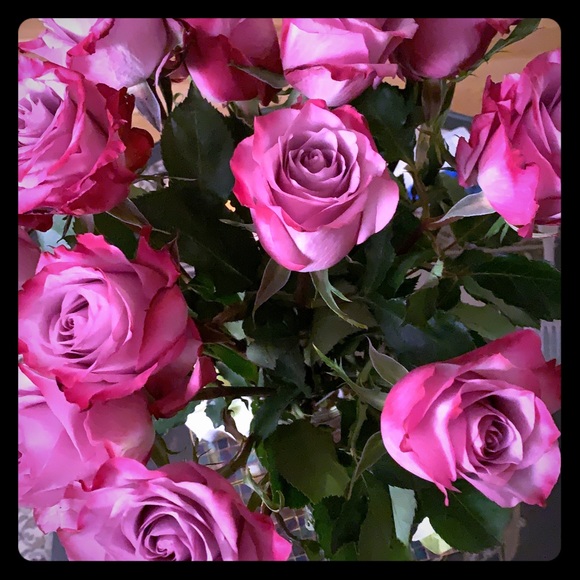 Meet your Posher, Ayema - Picture 1 of 1